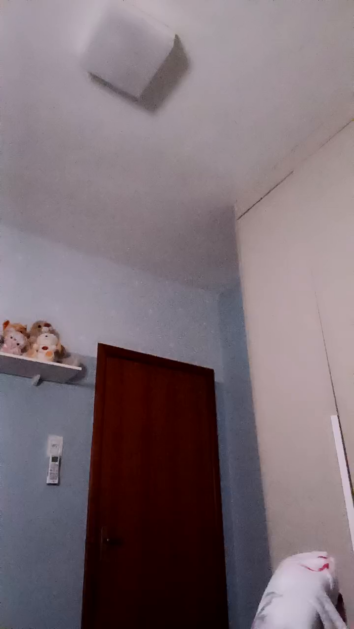BBcrazy1