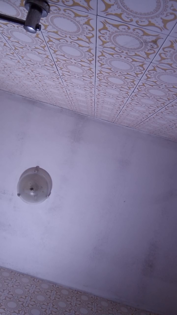 Melzinha3737
