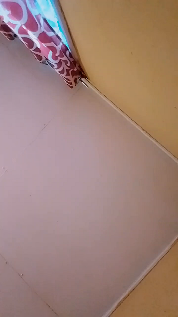 Biscochita