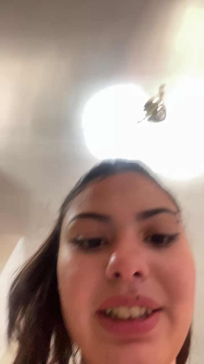 Lindabebe7
