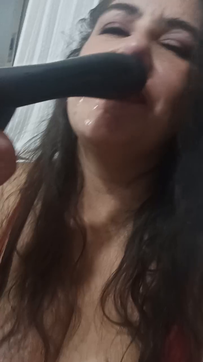elychupachups