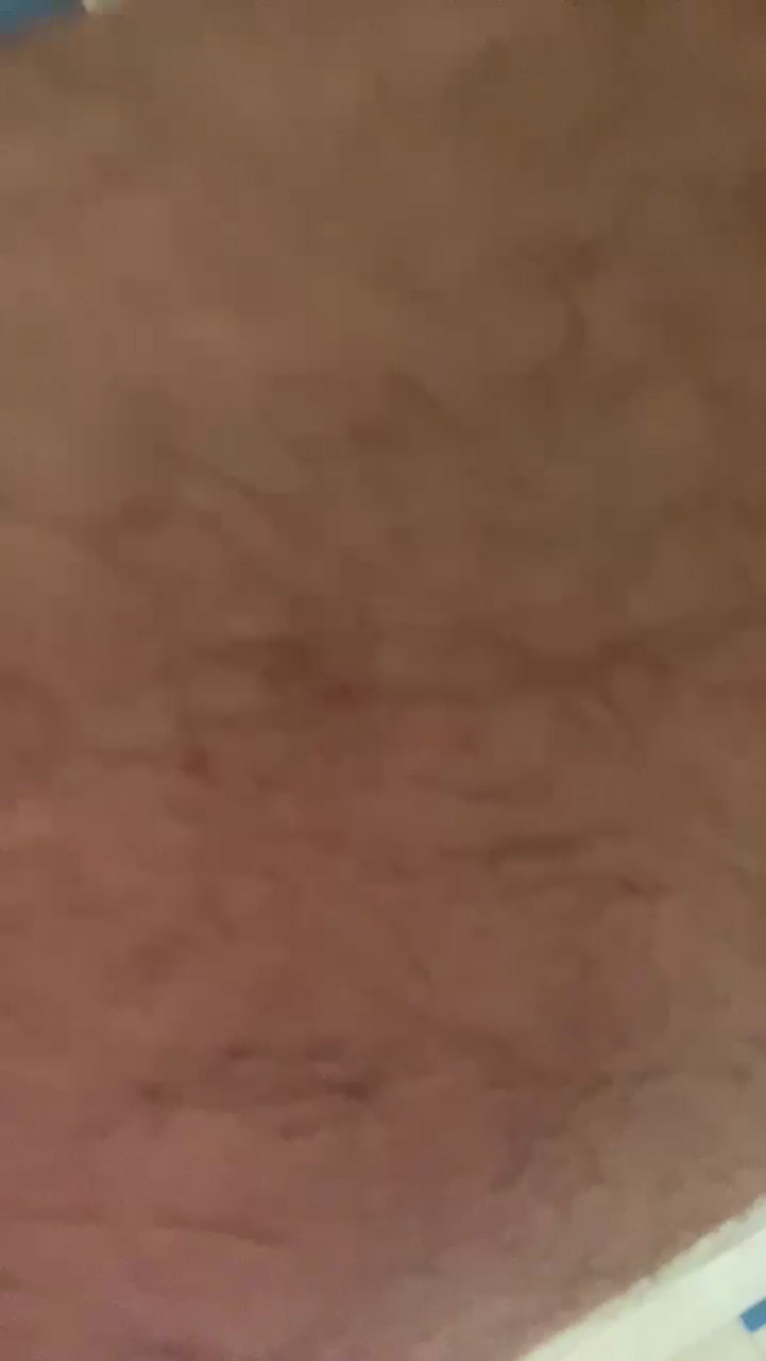 Pedritos_loca