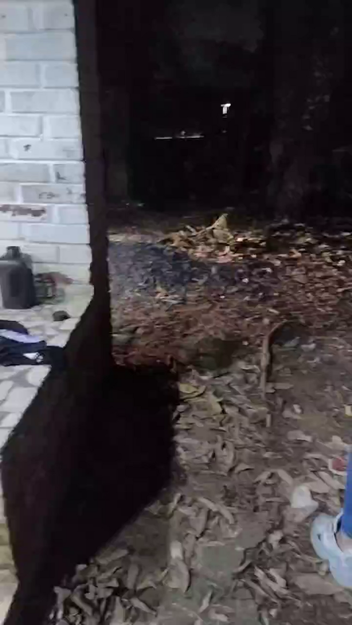 pregnanhot