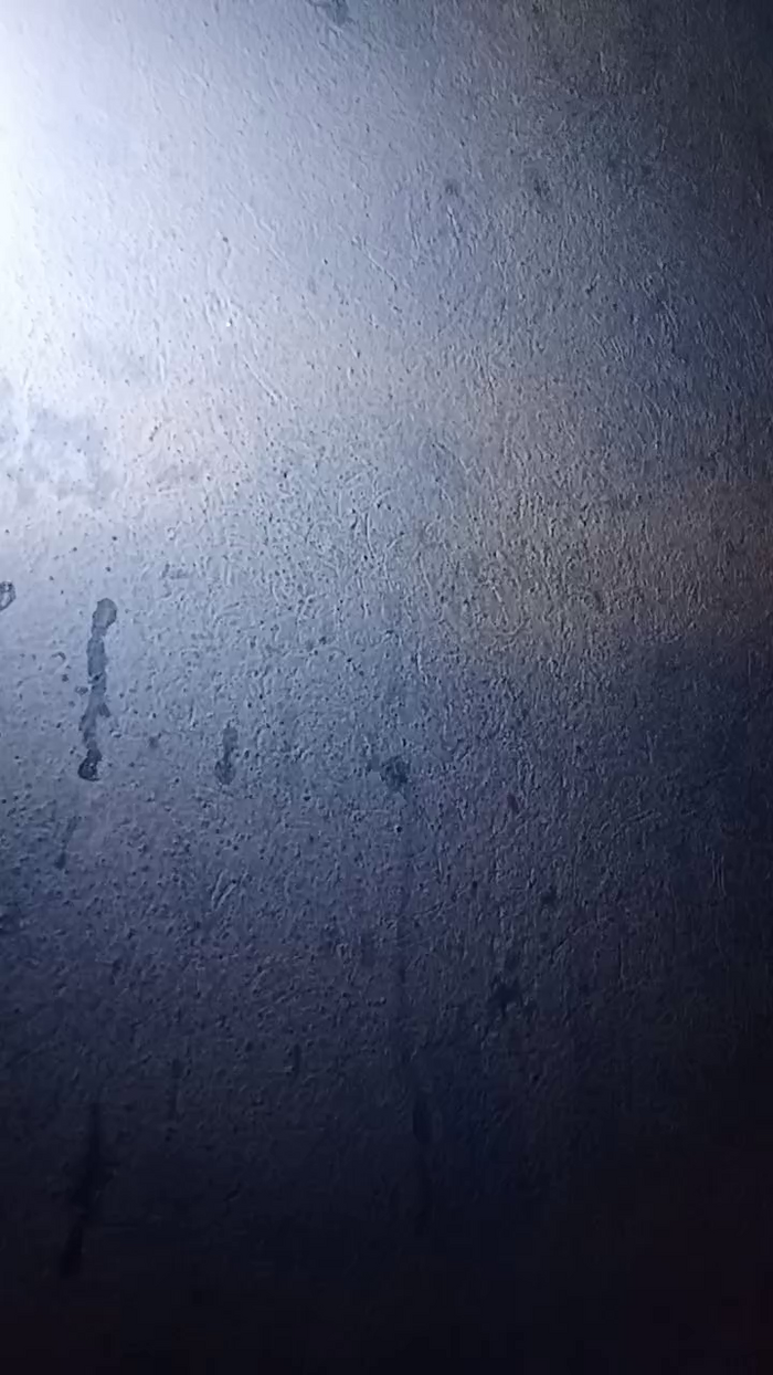 LilayBlue