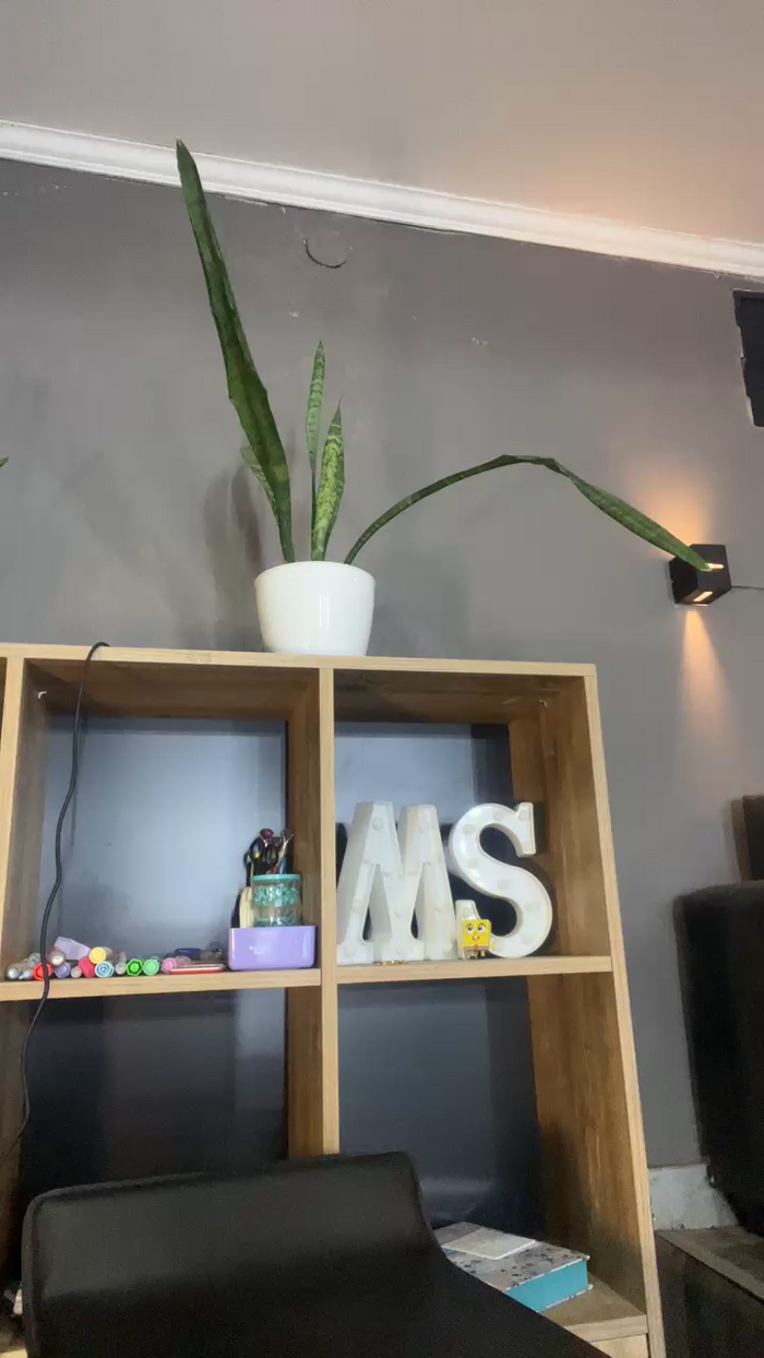 mickystrumia23