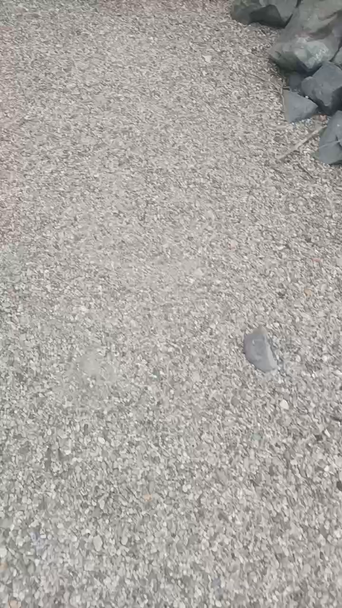 Dvjkjvgbnnk