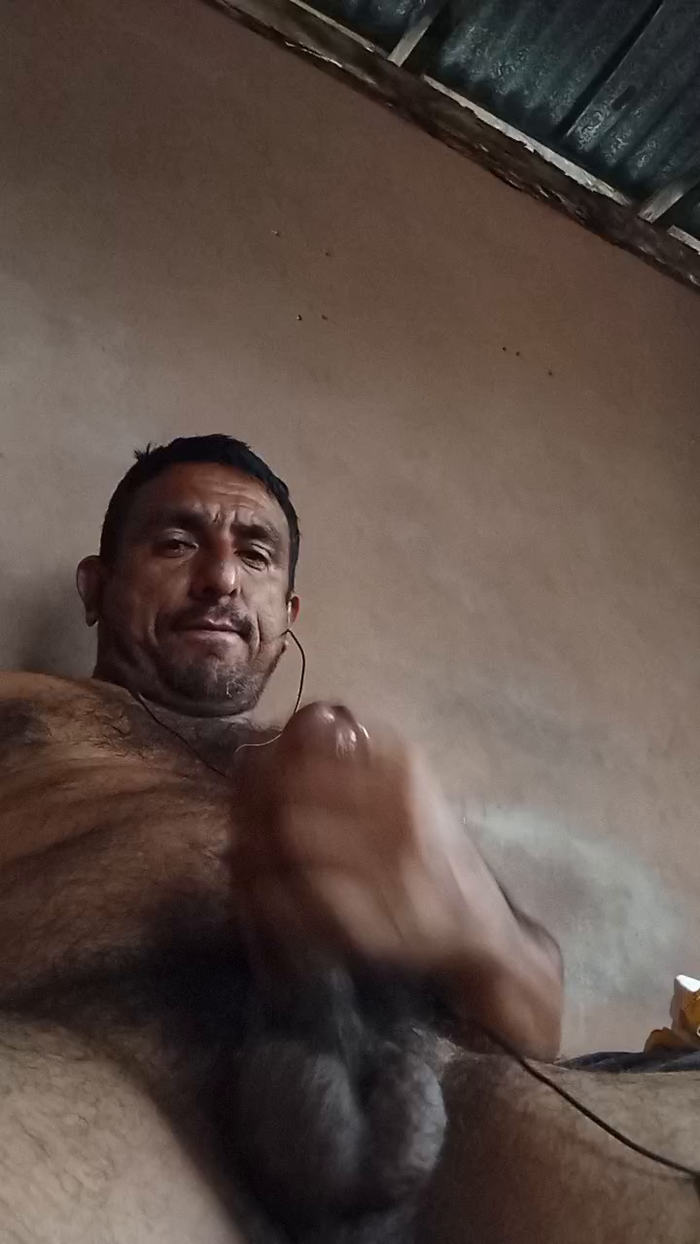 Pollagrande81