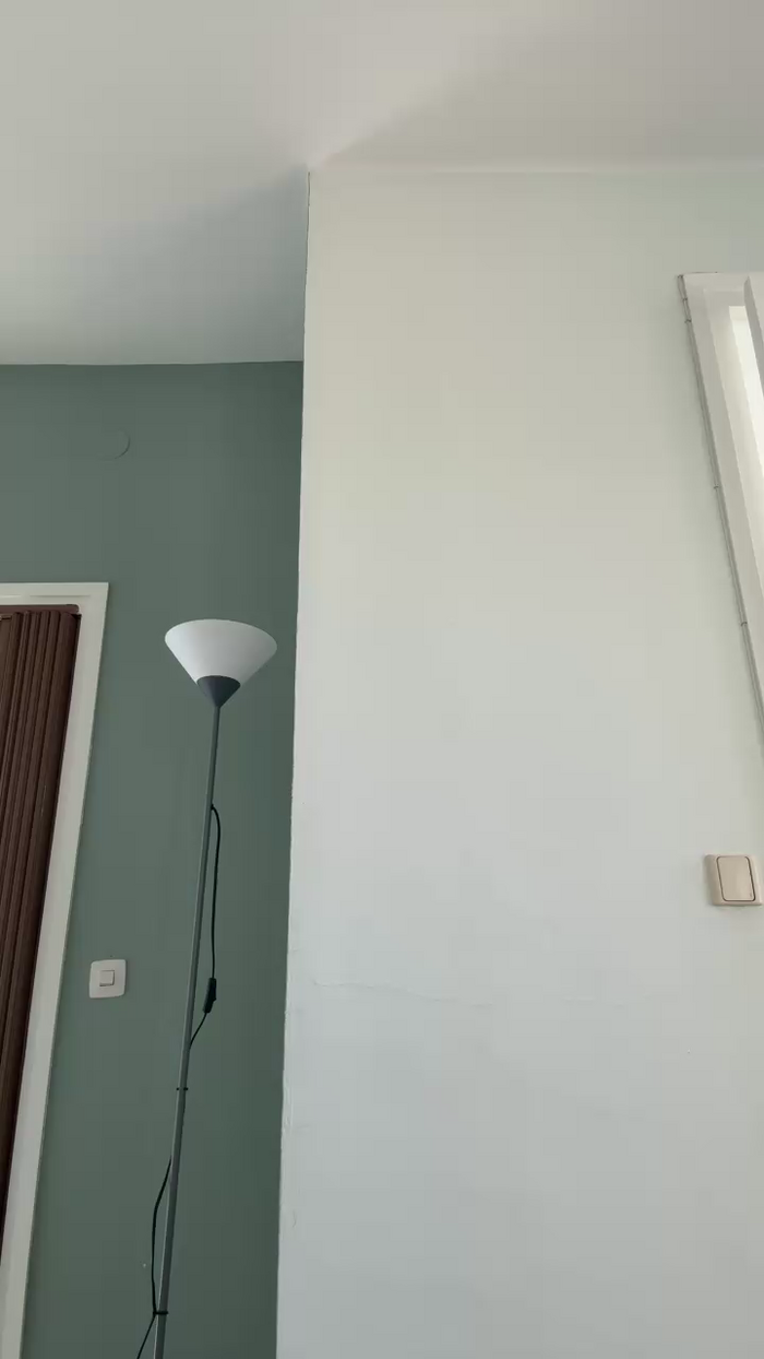 Domm99