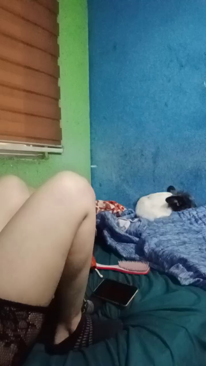 LilayBlue
