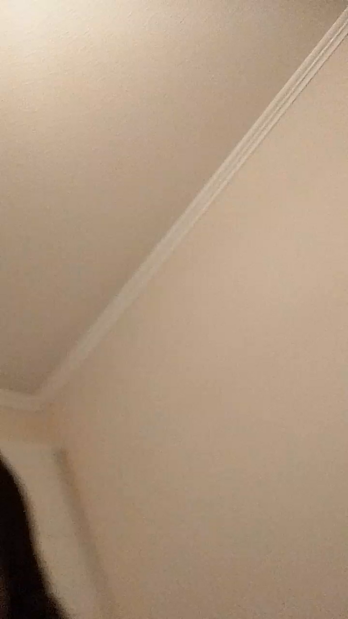 Yamilechile