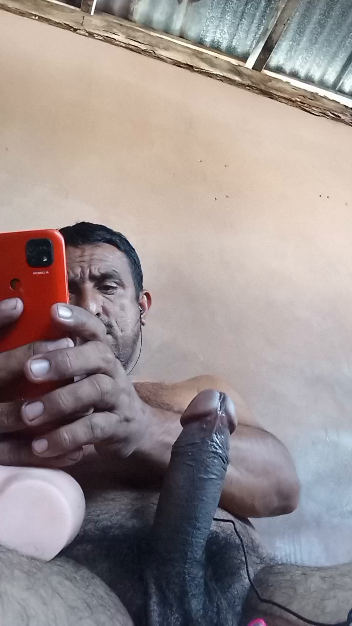 Pollagrande81