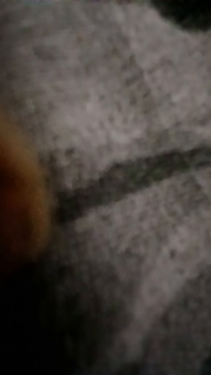 alessandravite1