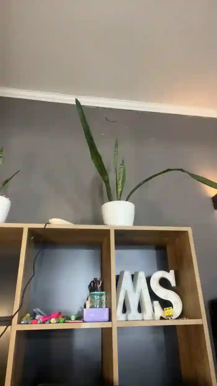 2025/09/27/cam4-mickystrumia23-19-42-20