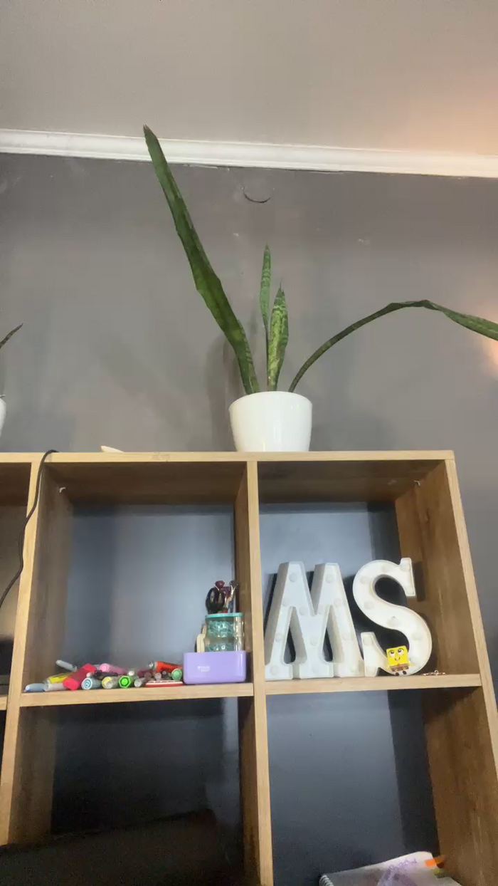 mickystrumia23