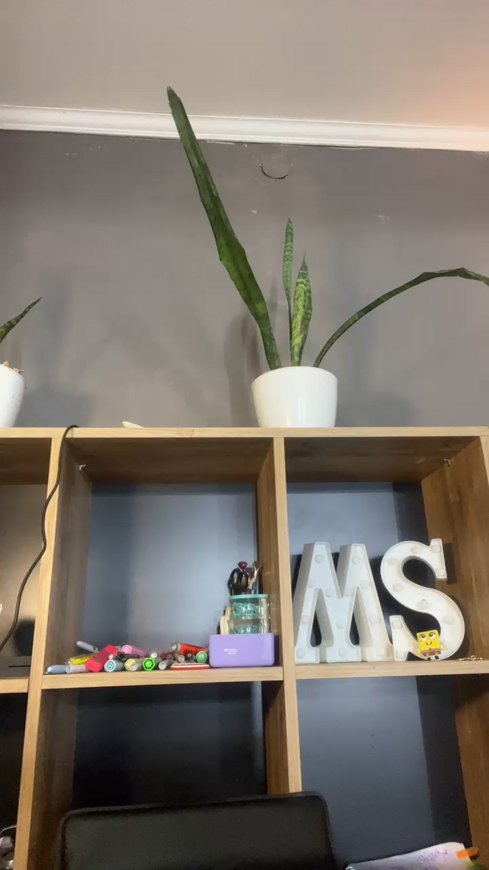 mickystrumia23