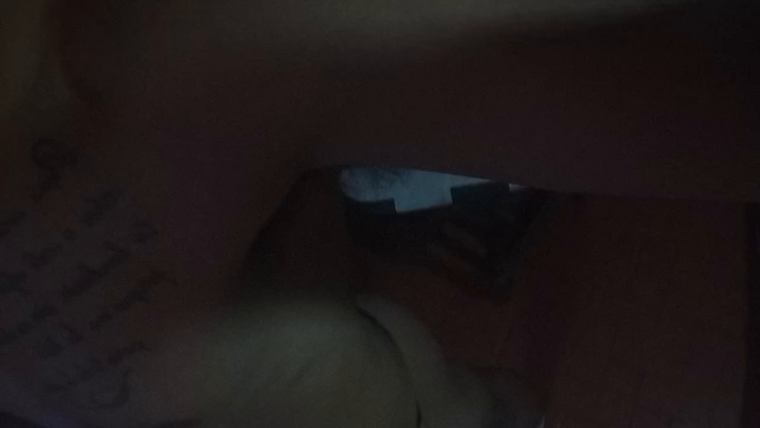 Novios09