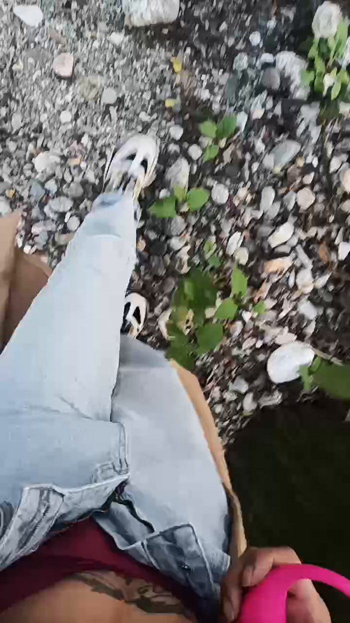 Karolinareaper