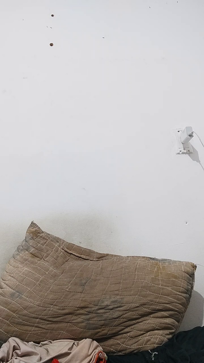 Aieloucura