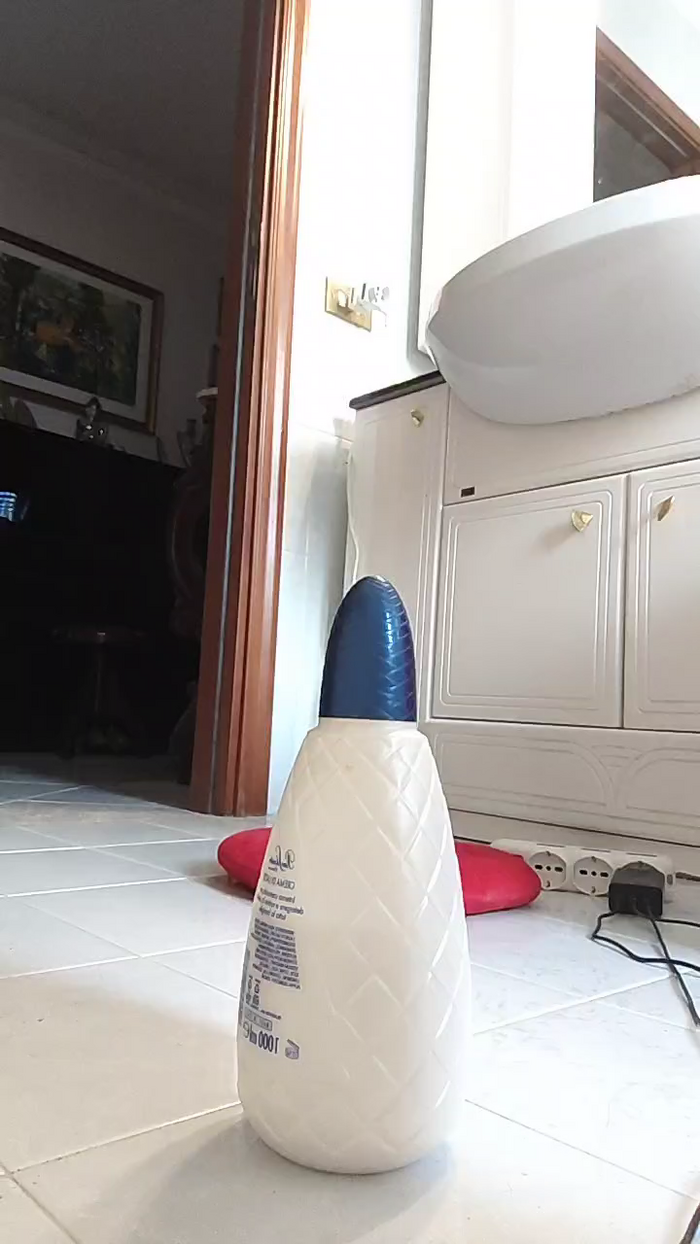 Annarellapika