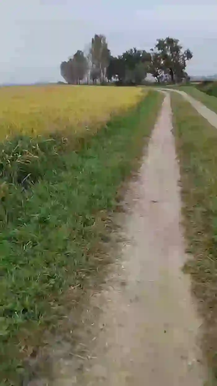 2025/10/04/cam4-luxxuriax-09-28-48