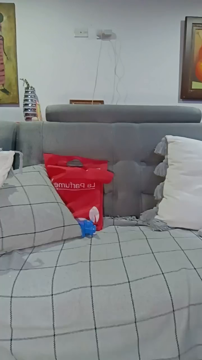 Savannahbunny