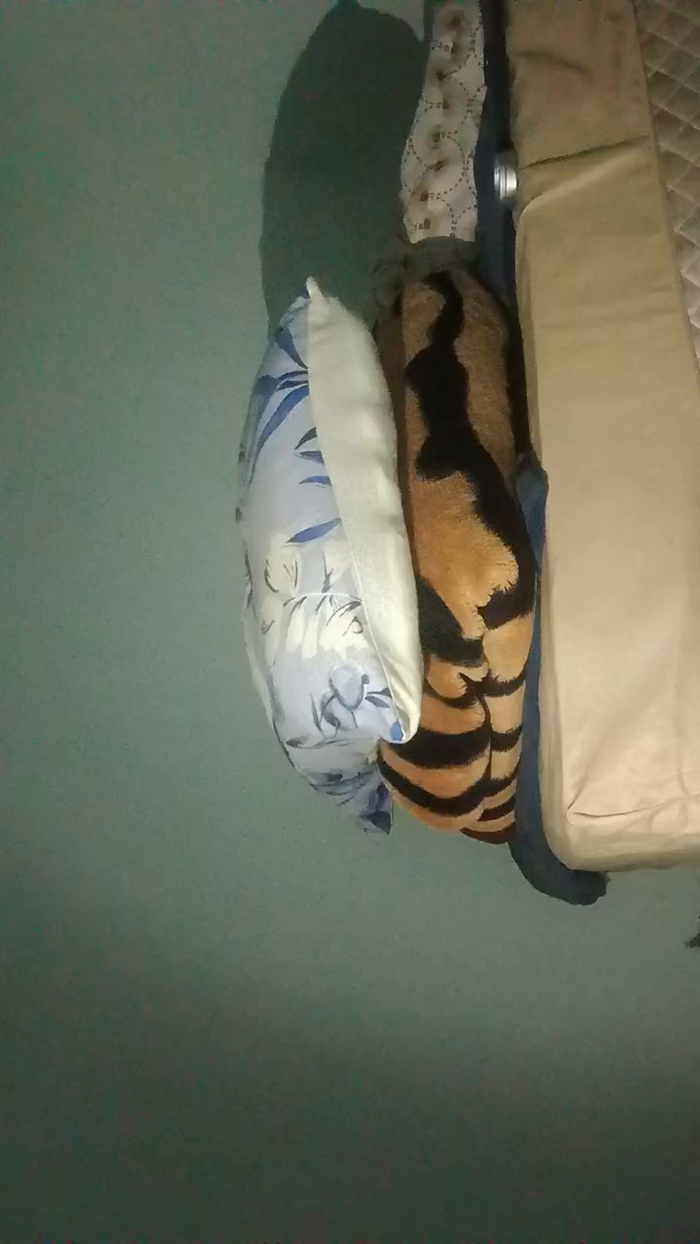 Preta8393