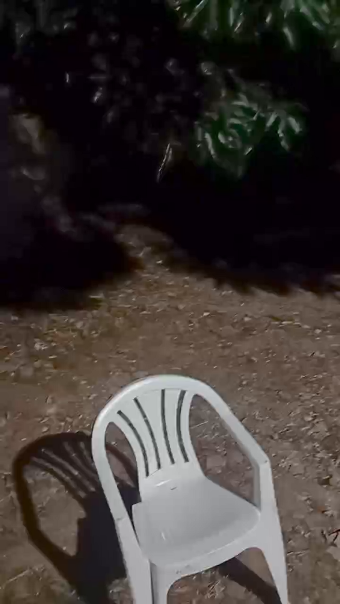 micarla_hot