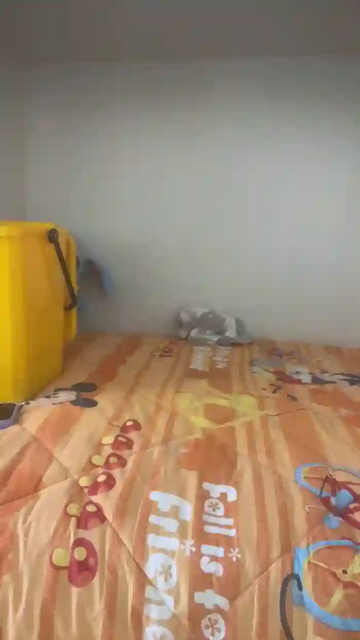 2025/10/14/cam4-jokerharleyquen-08-29-37