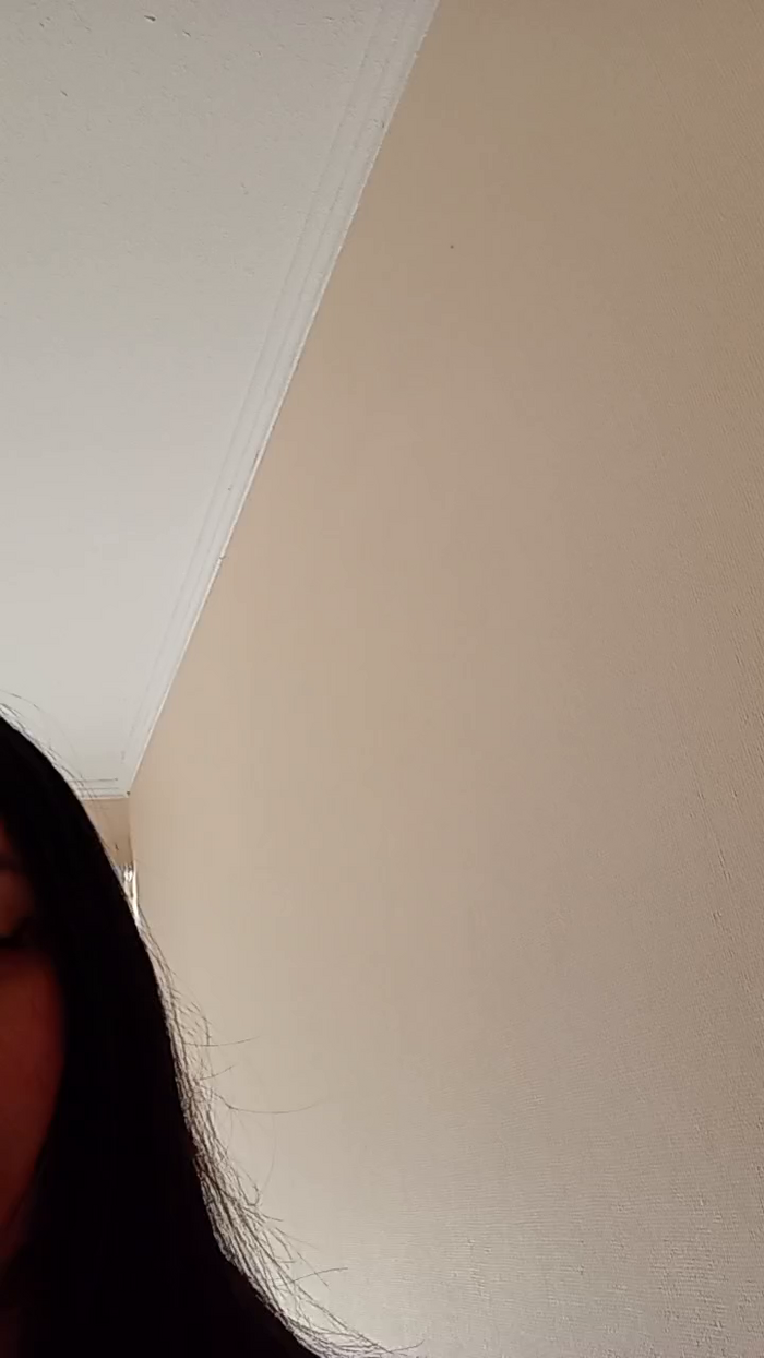 Camystgo