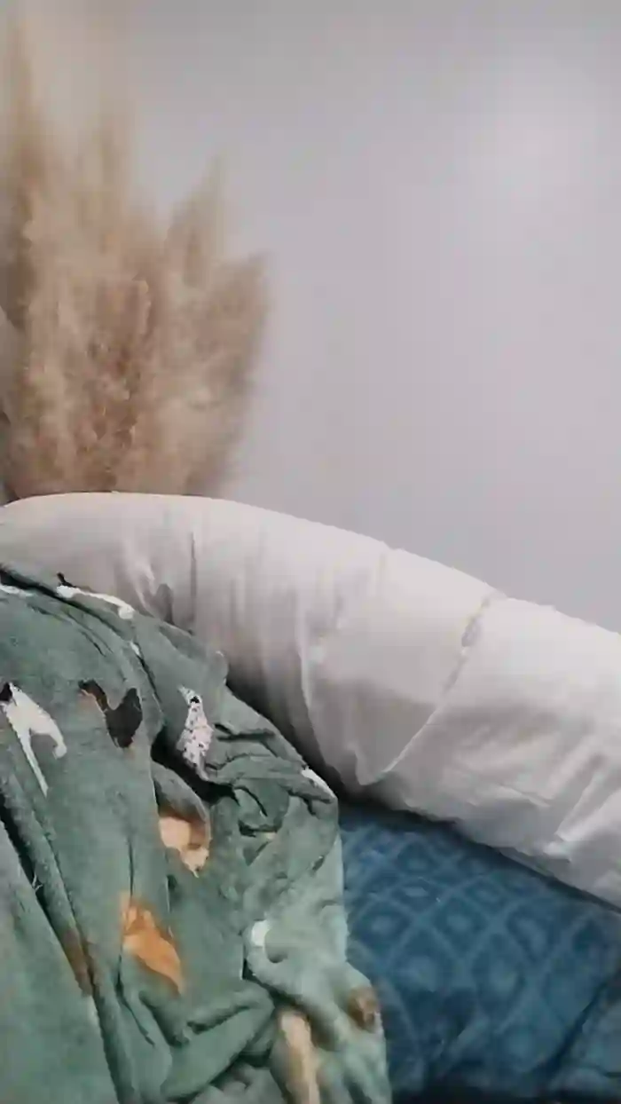 2025/10/17/cam4-asiancat83-17-48-23