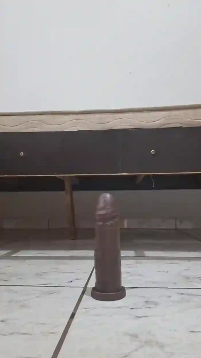 2025/10/19/cam4-lobao_nervoso-03-06-35