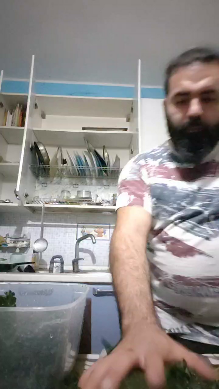 Cerbero31