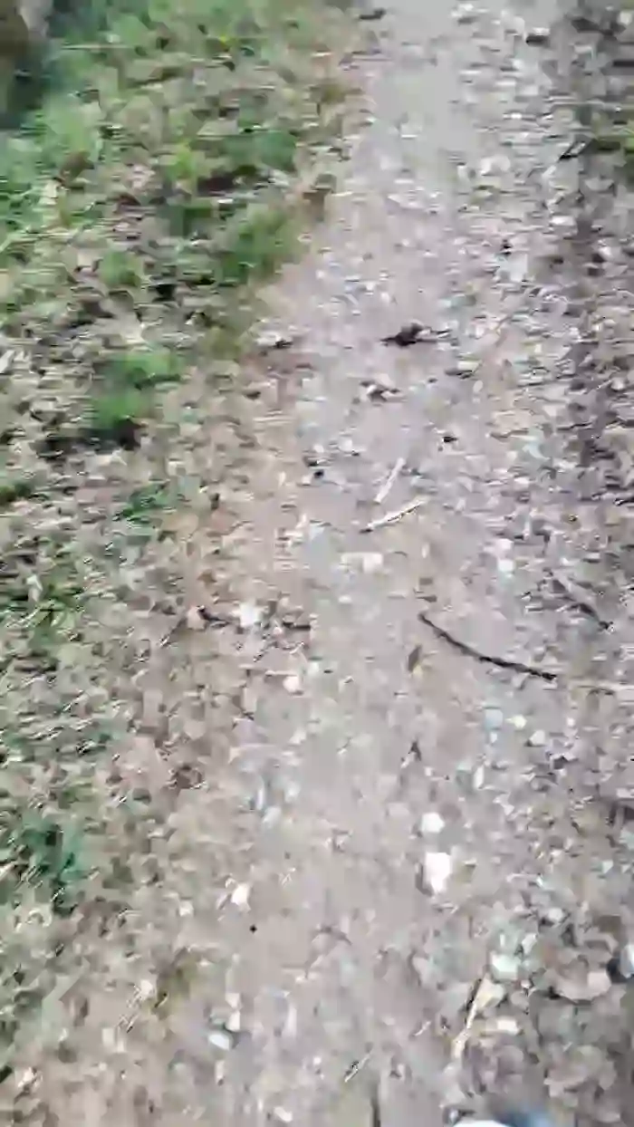 2025/10/25/cam4-luxxuriax-09-31-04