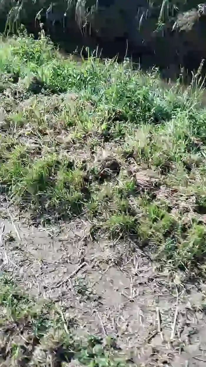 2025/10/25/cam4-luxxuriax-09-44-02