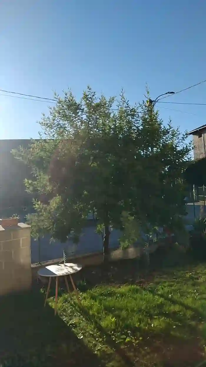 2025/10/28/cam4-luxxuriax-07-32-54