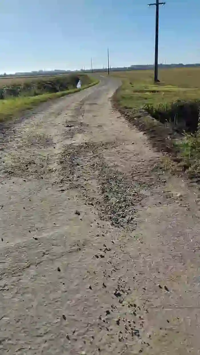 2025/10/28/cam4-luxxuriax-08-30-16