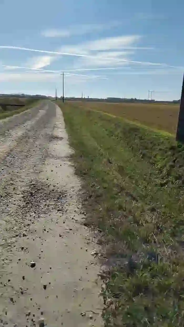 2025/10/28/cam4-luxxuriax-09-54-59