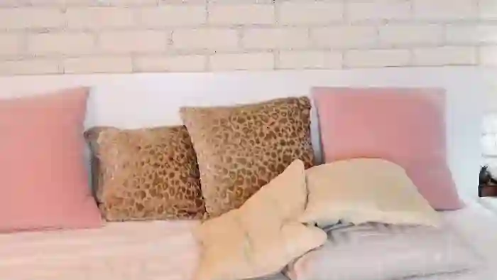 2025/11/11/cams-vanessaxxx-23-54-36