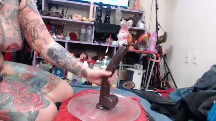 animergamergirl
