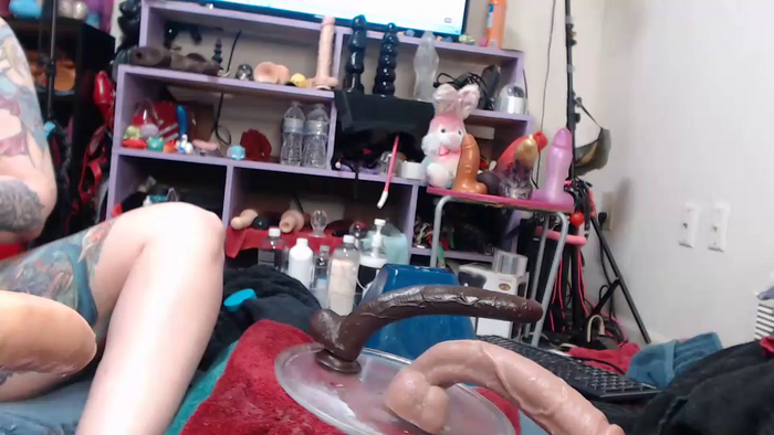 animergamergirl