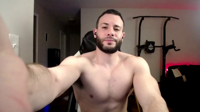 alpha_dominus_king