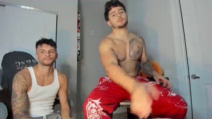 zaylanez