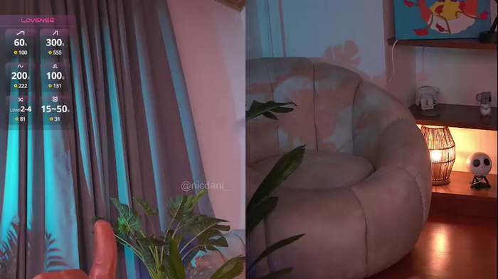 nicdani_1
