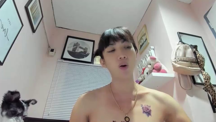 xdreamangel
