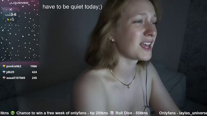laylas_universe