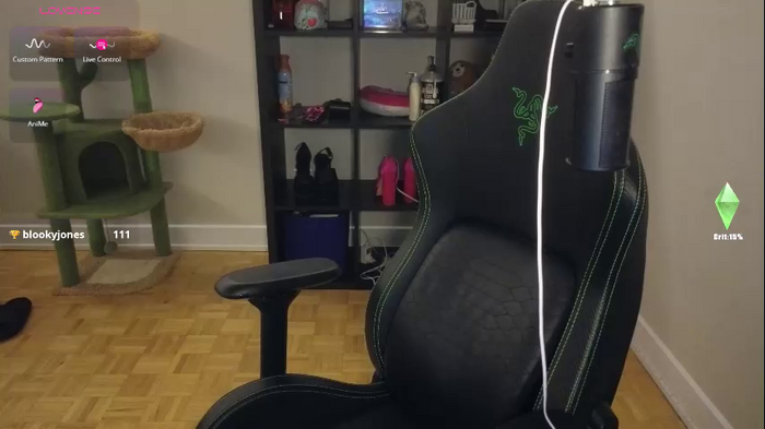 alexa_dream