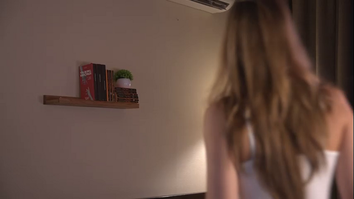 2girls_1dream