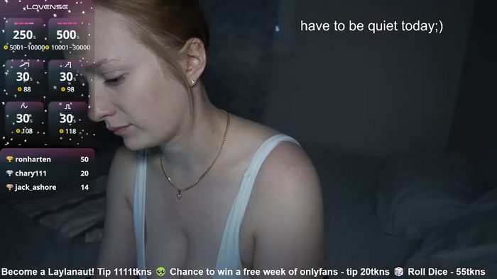 laylas_universe