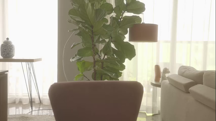 emma_lu1