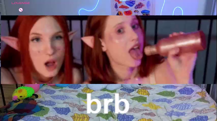 purplebeawer